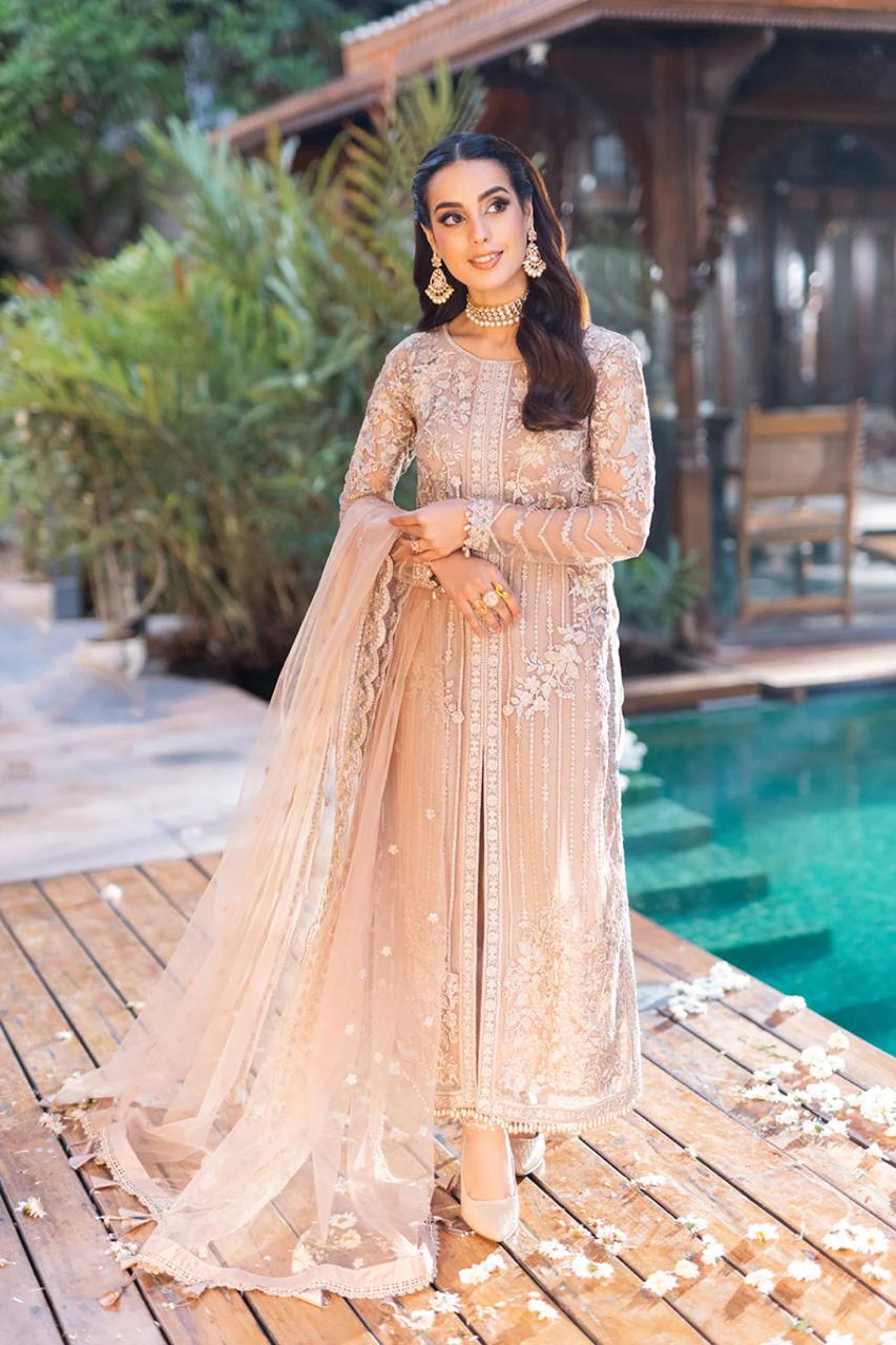 Pure Chiffon Majestic Embroidered Dress : CWS055