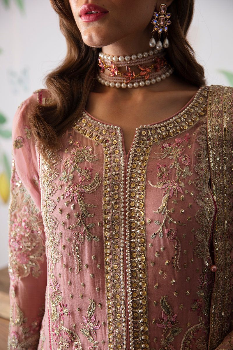 Pure Chiffon Pink Embroidered Dress - WW275