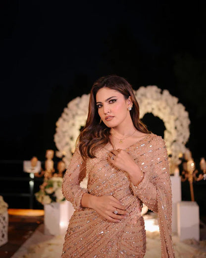 Pure Chiffon Beige Embroidered Saree - WW251