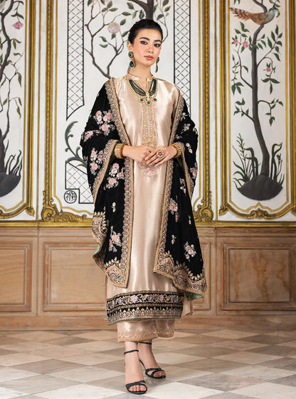 Pure Mysoori Embroidered Dress With Pure Velvet Shawl - VC002