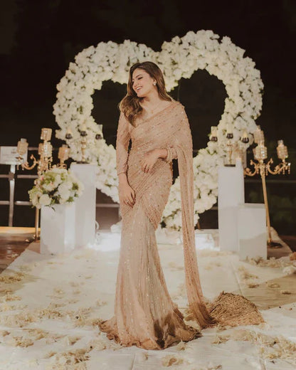 Pure Chiffon Beige Embroidered Saree - WW251