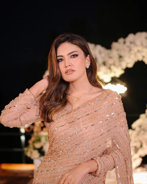 Pure Chiffon Beige Embroidered Saree - WW251