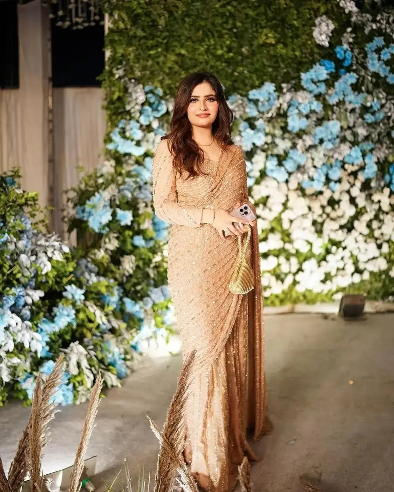 Pure Chiffon Beige Embroidered Saree - WW251