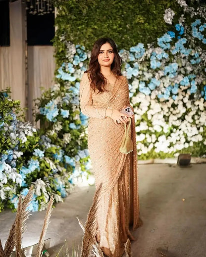 Pure Chiffon Beige Embroidered Saree - WW251