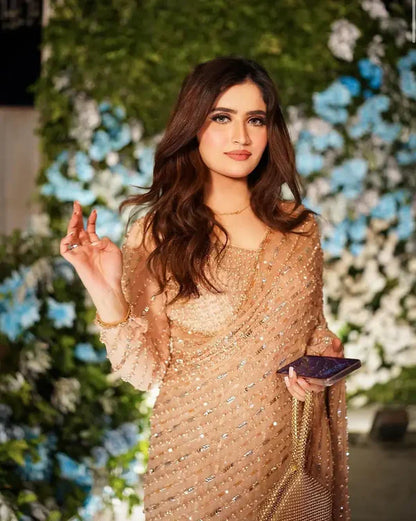 Pure Chiffon Beige Embroidered Saree - WW251